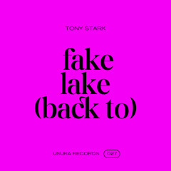 Fake Lake (Back To ...)