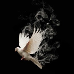 juula - dove (prod. tdf) [blnnted exclusive]