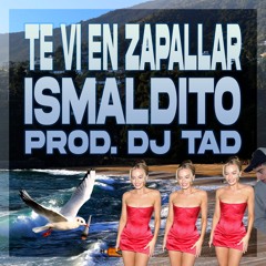 Te Vi En Zapallar