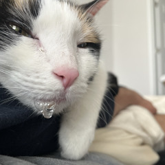 ThirtyThree & Free - Ink & JVICE