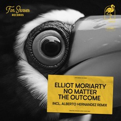 Elliot Moriarty - No Matter The Outcome (Original Mix)