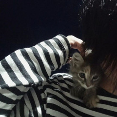 Playboi Carti - G Wagon/FOMDJ (slowed + reverb)