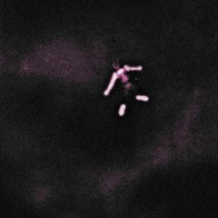 pulse[prod.144yrsold]