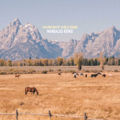 Solo Kei - cowboy killers (Mandalus Remix)
