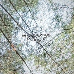 Nu Horizons