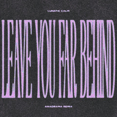 LYFB REMIX [free dl]