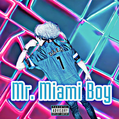 Mr. Miami Boy