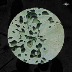 Bandikoot | Yara Noctua [Forthcoming on Mantra 02]