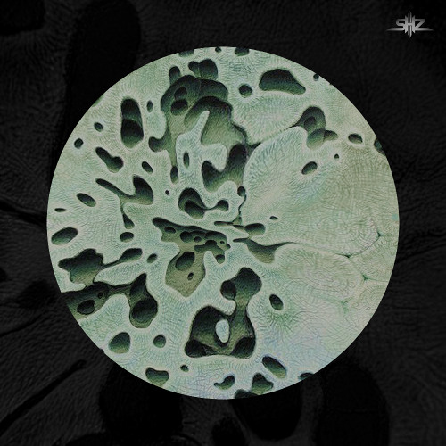 Bandikoot | Yara Noctua [Forthcoming on Mantra 02]