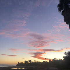 Typical Life hvetter vocal cover