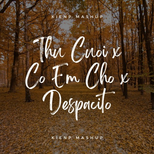 Thu Cuoi & Co Em Cho & Despacito - KIENP Mashup Free Download