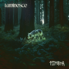 Luminesce - 30 Minutes of Original Music