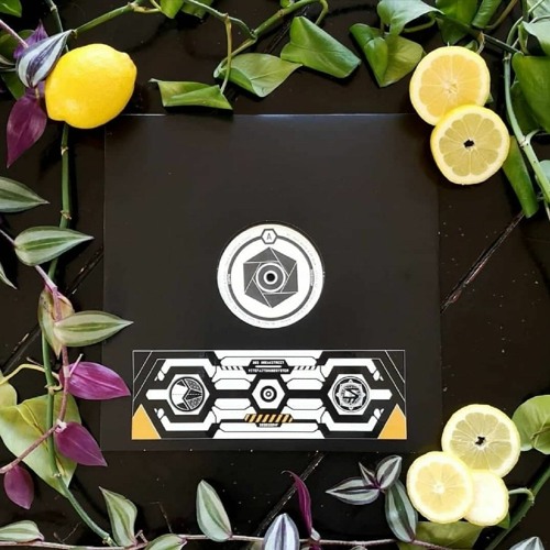 B3_Green Sequence & Midi Panic - Front to back
