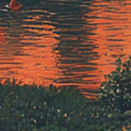 Comforter (With Bird Sounds)