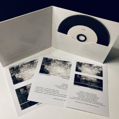 VA - Kosmische edits by Dubree (Insectorama 200, album peview)