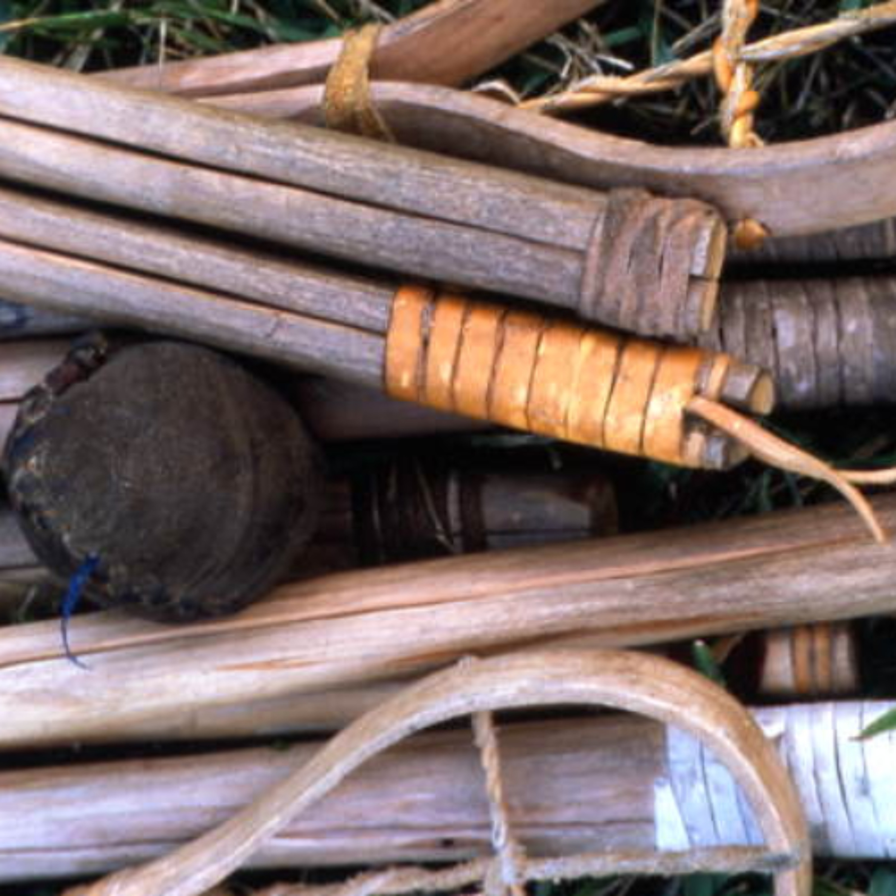 Preview of the Wild & Scenic Film Festival