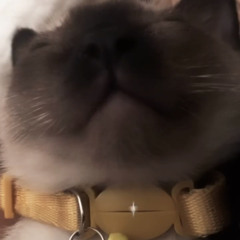 recess - melanie martinez (sped up)