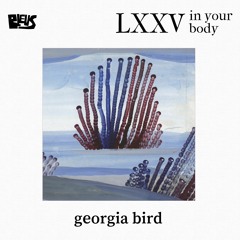 LXXV - georgia bird