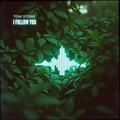Tom Stone - I follow you