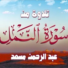 تلاوة من سورة النمل | عبد الرحمن مسعد 2023