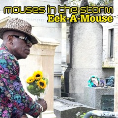 Mouses in the Storm