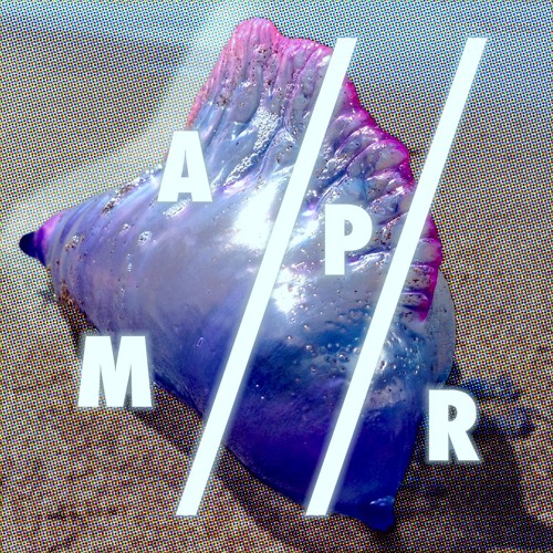 AMP//R PODCAST #51 by Perm