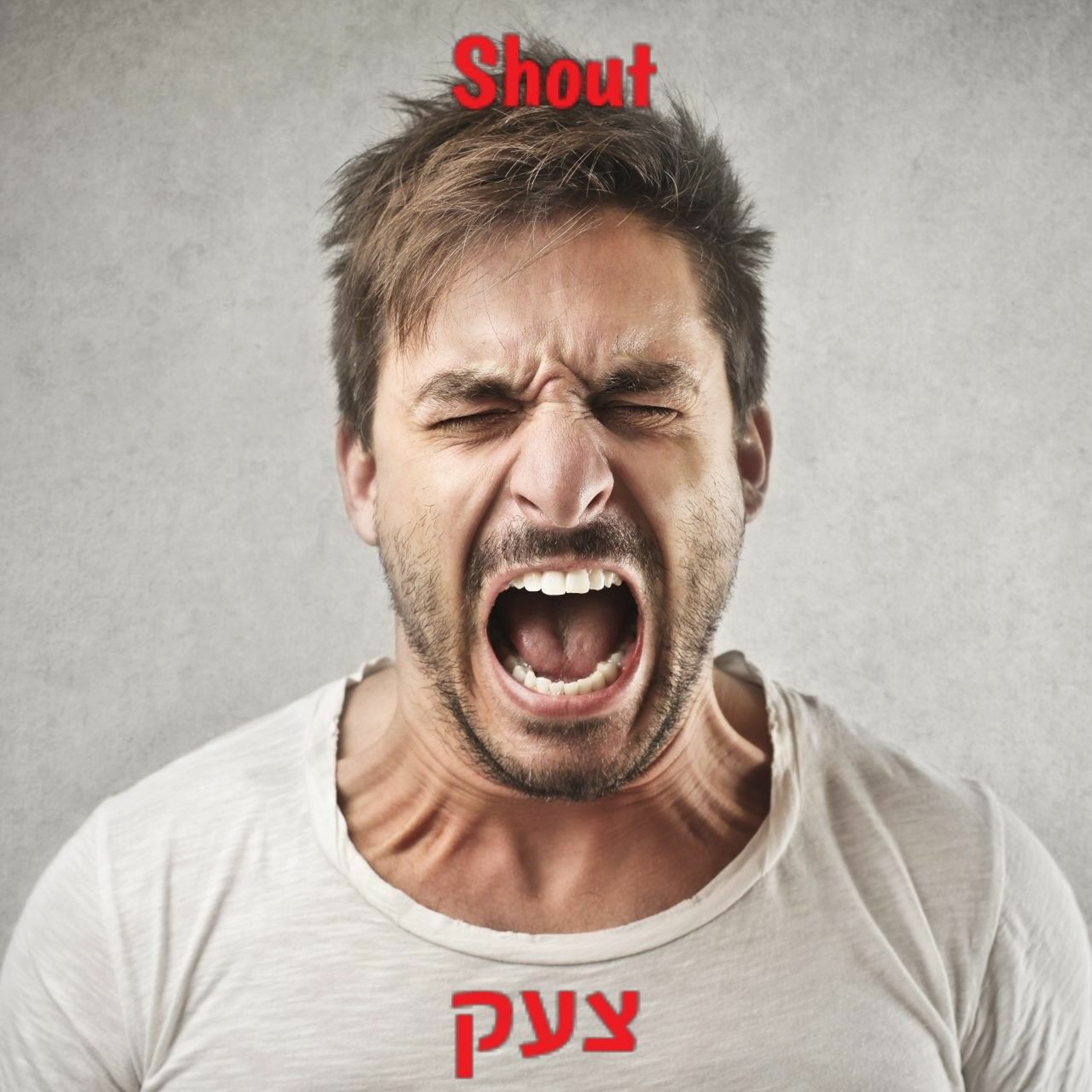 Shout/צעק episode artwork