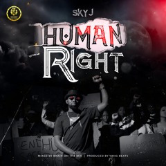 sky j - Cover Human Rights