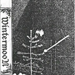 Wintermoon -  Night So Cryptic Is All Mine (1995/black metal/ambient/atmospheric/Finland).