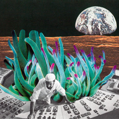 L’acceptation amène la paix