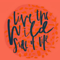 Wildside - 13th Sept 25