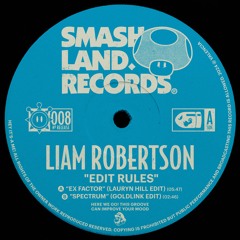 Liam Robertson - Ex Factor (Lauryn Hill Edit)_FREE DOWNLOAD