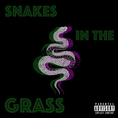 Snakes in the grass ft. Drew iconic