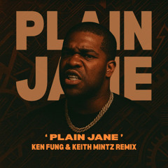 FERG - Plain Jane (Ken Fung & Keith Mintz Remix)