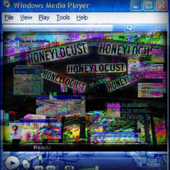 Hon3y_l0cust.wav
