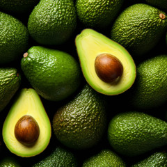 Avocado Expresss#3