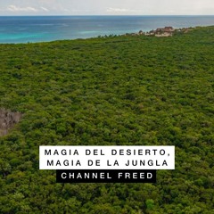 Magia del Desierto. Magia de la Jungla.