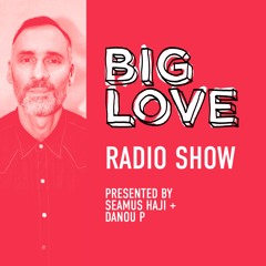 Big Love Radio Show – November 2024 – Danou P Big Mix