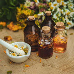 Preparaciones herbolaria simples