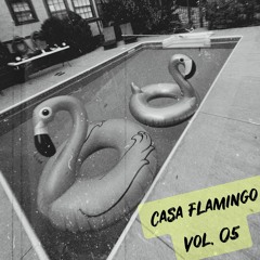 Casa Flamingo Vol. 05