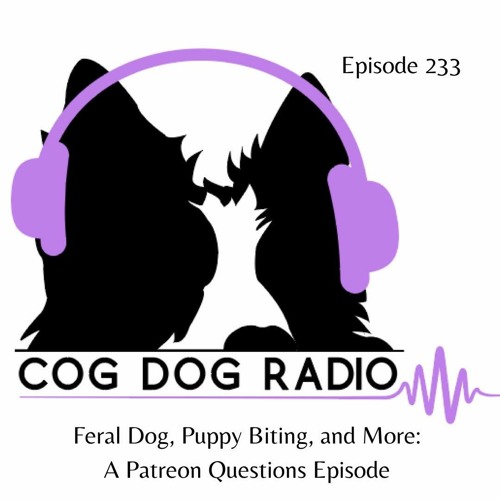 Stream Feral Dog, Puppy Biting, and More: A Patreon Questions Episode by  Cog-Dog Radio | Listen online for free on SoundCloud