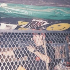 Bar Lézard de la gauthier