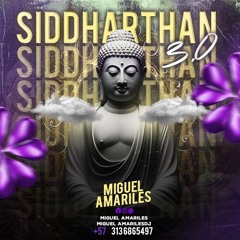 SIDDTHARTAN 3.O( EDICIÓN NAVEGUE  ) THI IS MIGUEL AMARILES DJ