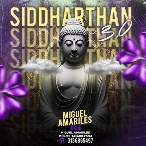 SIDDTHARTAN 3.O( EDICIÓN NAVEGUE  ) THI IS MIGUEL AMARILES DJ