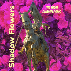 Shadow Flowers