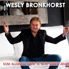 NL Feestje / Kroegenhits / Feest / Nederlandstalig