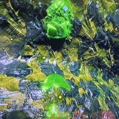 Just Another Playlist For Me