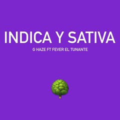 INDICA Y SATIVA - G haze ft Fever El Tunante