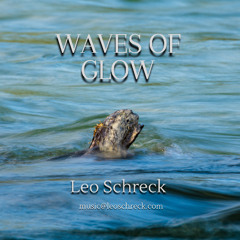 The Shaman - Leo Schreck