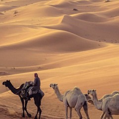بقلم زهر | الرحيل الأول في رجب